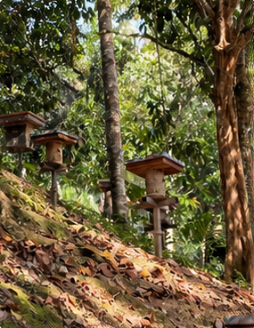 Hive boxes on posts along a sunlit, leaf-covered forest slope.